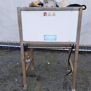 Mytilus COCCI